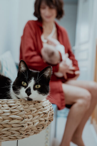chat premier plan enfant allaitement flou