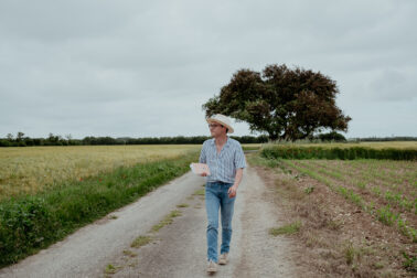 marche champ livre dans mains paysage campagne