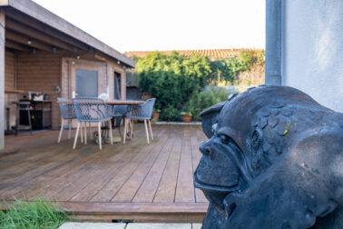 singe décoratif jardin