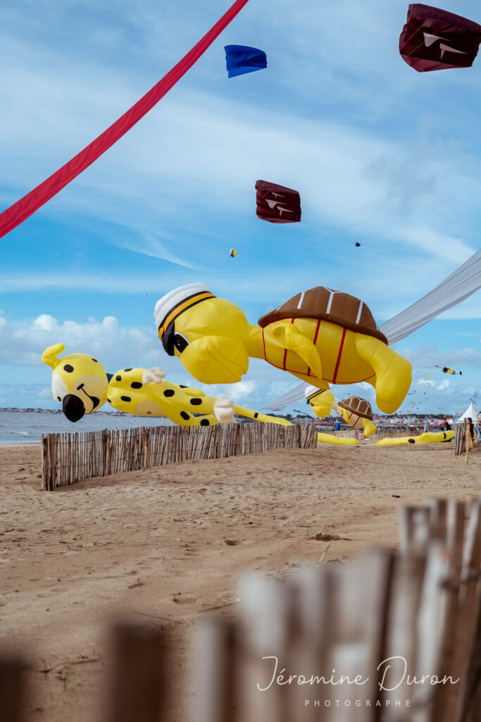 tortue marsupilami cerfs-volants xxl plage