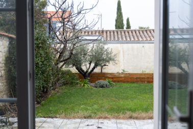 jardin maison olivier pelouse fenêtres