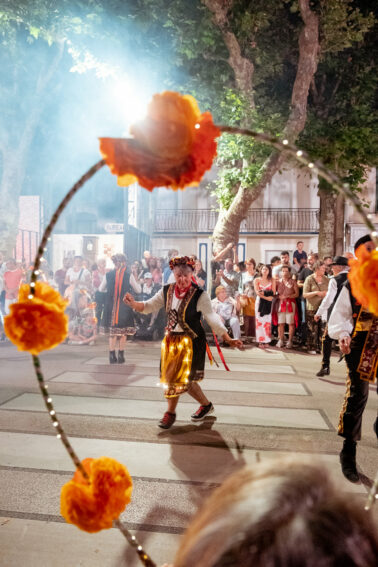 danseuse avec avant-plan cerceau fleurs