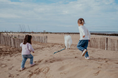 petites filles dos chien plage